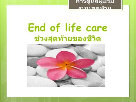 End of life care ช่วงสุดท้ายของชีวิต