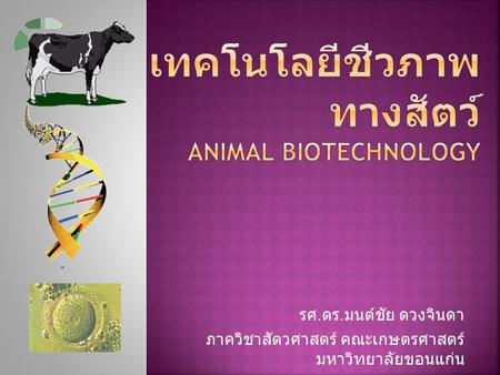 เทคโนโลยีชีวภาพทางสัตว์ Animal biotechnology
