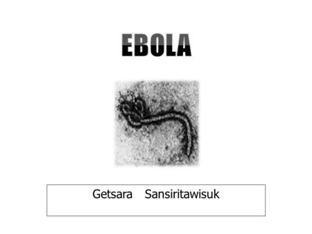 Getsara Sansiritawisuk. Ebola Virus Outbreak Ebola Virus Inflicts Deadly Toll on African Health Workers by Africa News Life after Ebola has new meaning.