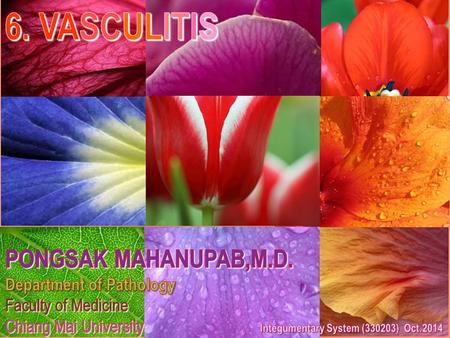 6. VASCULITIS PONGSAK MAHANUPAB,M.D. Department of Pathology