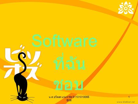 น. ส. ชโลธร แจ่มจำรัส 51101010065 B06 1 Software ที่ฉัน ชอบ.
