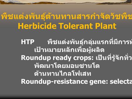 พืชแต่งพันธุ์ต้านทานสารกำจัดวัชพืช Herbicide Tolerant Plant