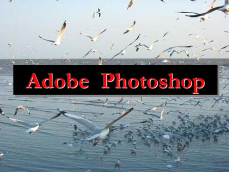 Adobe Photoshop Adobe Photoshop Adobe Photoshop : โปรแกรมนี้ถือได้ว่าเป็น โปรแกรมตกแต่งภาพที่ ดีที่สุดใน โลก ก็ว่าได้ และ ก็คงจะไม่มีใคร ที่มาเถียงว่าโปรแกรมนี้ไม่ดีที่สุด.