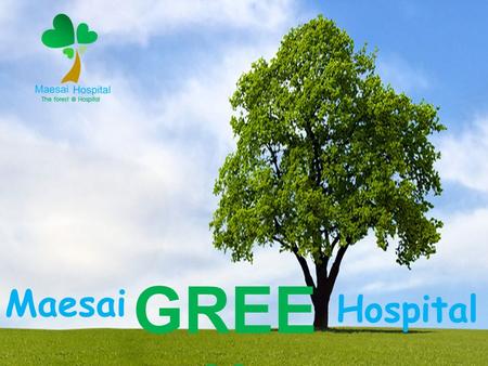 Maesai Hospital GREE N. บริบทของพื้นที่และ ผู้รับบริการ.