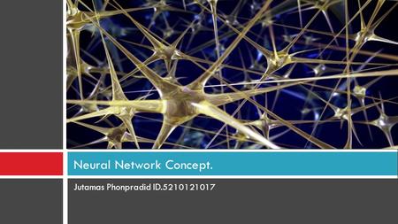 Jutamas Phonpradid ID.5210121017 Neural Network Concept.
