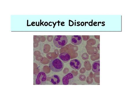 Leukocyte Disorders.
