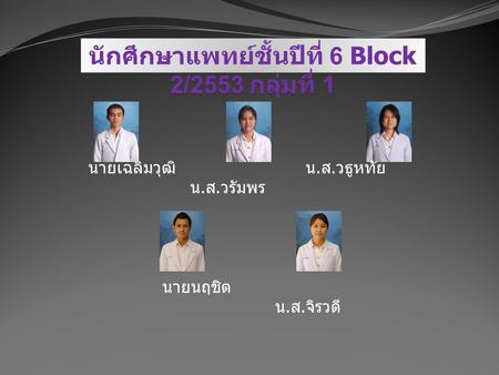 นักศึกษาแพทย์ชั้นปีที่ 6 Block 2/2553 กลุ่มที่ 1