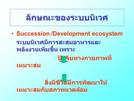 ลักษณะของระบบนิเวศ Succession /Development ecosystem