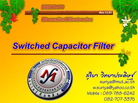 Switched Capacitor Filter