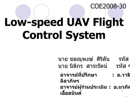 Low-speed UAV Flight Control System