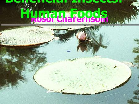 Kosol Charernsom Beneficial Insects: Human Foods.