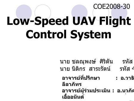Low-Speed UAV Flight Control System