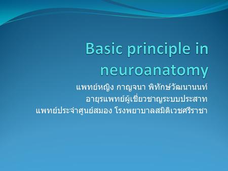 Basic principle in neuroanatomy