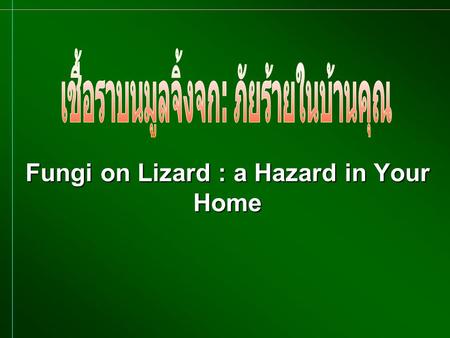 Fungi on Lizard : a Hazard in Your Home