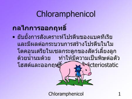 Chloramphenicol กลไกการออกฤทธิ์