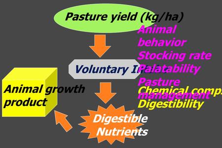 Chemical compsition Digestibility Pasture yield (kg/ha) Voluntary Intake Digestible Nutrients Animal growth product Animal behavior Stocking rate Palatability.