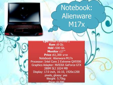 Notebook: Alienware M17x