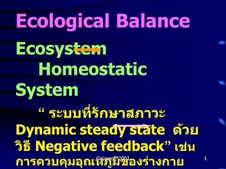 Ecological Balance Ecosystem Homeostatic System