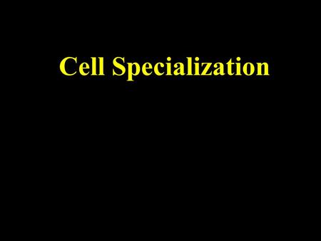 Cell Specialization.