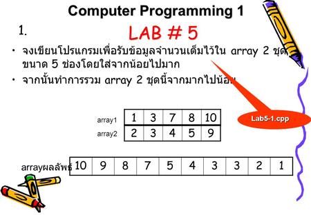 LAB # 5 Computer Programming 1 1.