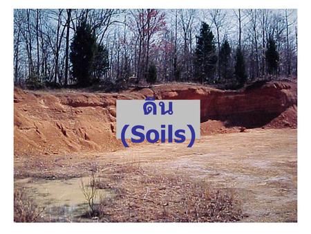 ดิน (Soils).
