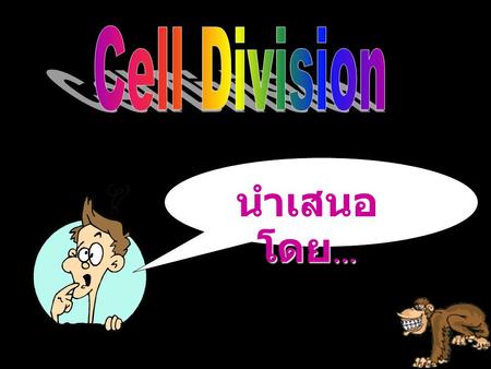 Cell Division นำเสนอโดย….
