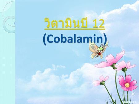 วิตามินบี 12 (Cobalamin)