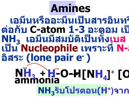 Amines NH3 H-O-H [NH4]+ [OH]- เอมีนหรืออะมีนเป็นสารอินทรีย์ที่ N-atom