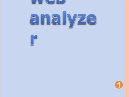 Web analyzer.