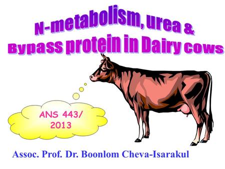 Bypass protein in Dairy cows