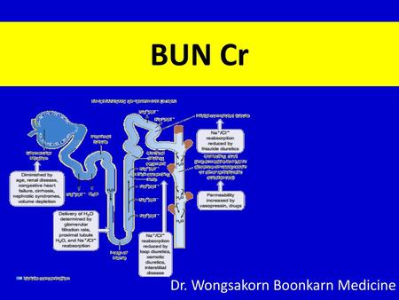 Dr. Wongsakorn Boonkarn Medicine