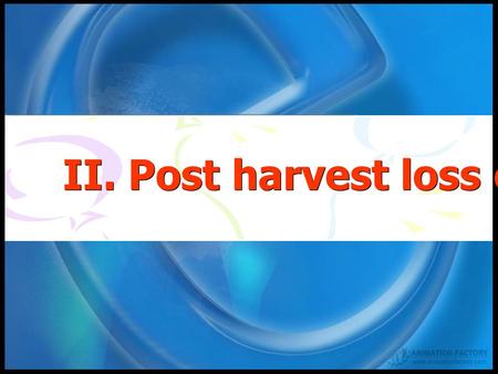 II. Post harvest loss of cereal crop