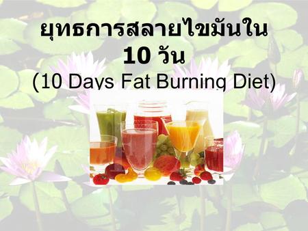 ยุทธการสลายไขมันใน 10 วัน (10 Days Fat Burning Diet)