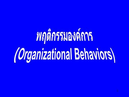 (Organizational Behaviors)