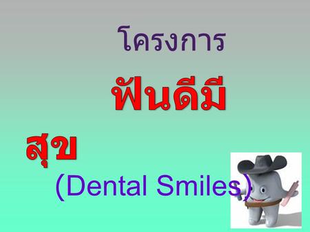 โครงการ ฟันดีมีสุข (Dental Smiles).