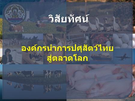 องค์กรนำการปศุสัตว์ไทย