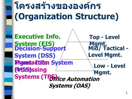 โครงสร้างขององค์กร (Organization Structure)