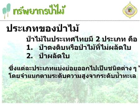 ประเภทของป่าไม้ ป่าไม้ในประเทศไทยมี 2 ประเภท คือ 1. ป่าดงดิบหรือป่าไม้ที่ไม่ผลัดใบ 2. ป่าผลัดใบ ซึ่งแต่ละประเภทแบ่งย่อยออกไปเป็นชนิดต่าง ๆ ได้อีก.