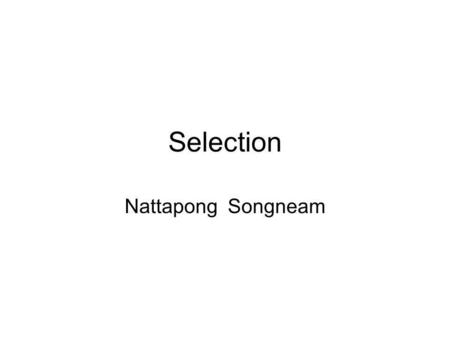 Selection Nattapong Songneam.