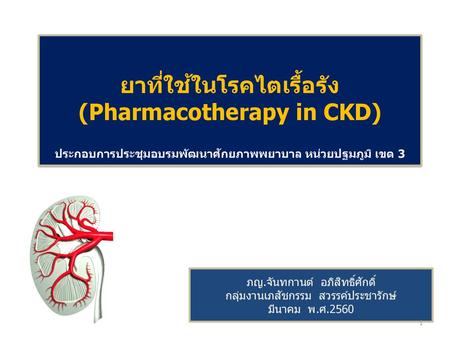 ยาที่ใช้ในโรคไตเรื้อรัง (Pharmacotherapy in CKD) ประกอบการประชุมอบรมพัฒนาศักยภาพพยาบาล หน่วยปฐมภูมิ เขต 3 ภญ.จันทกานต์ อภิสิทธิ์ศักดิ์ กลุ่มงานเภสัชกรรม.