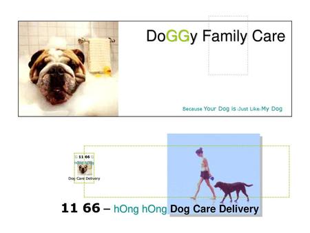 DoGGy Family Care – hOng hOng Dog Care Delivery
