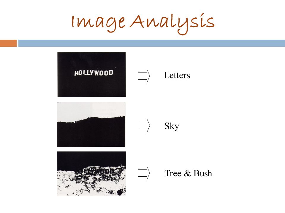 Image Analysis Letters Sky Tree & Bush
