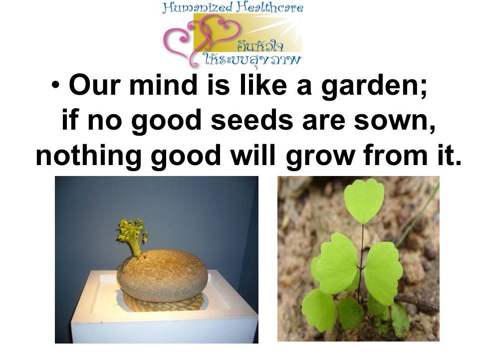 Our mind is like a garden; if no good seeds are sown, nothing good will grow from it.