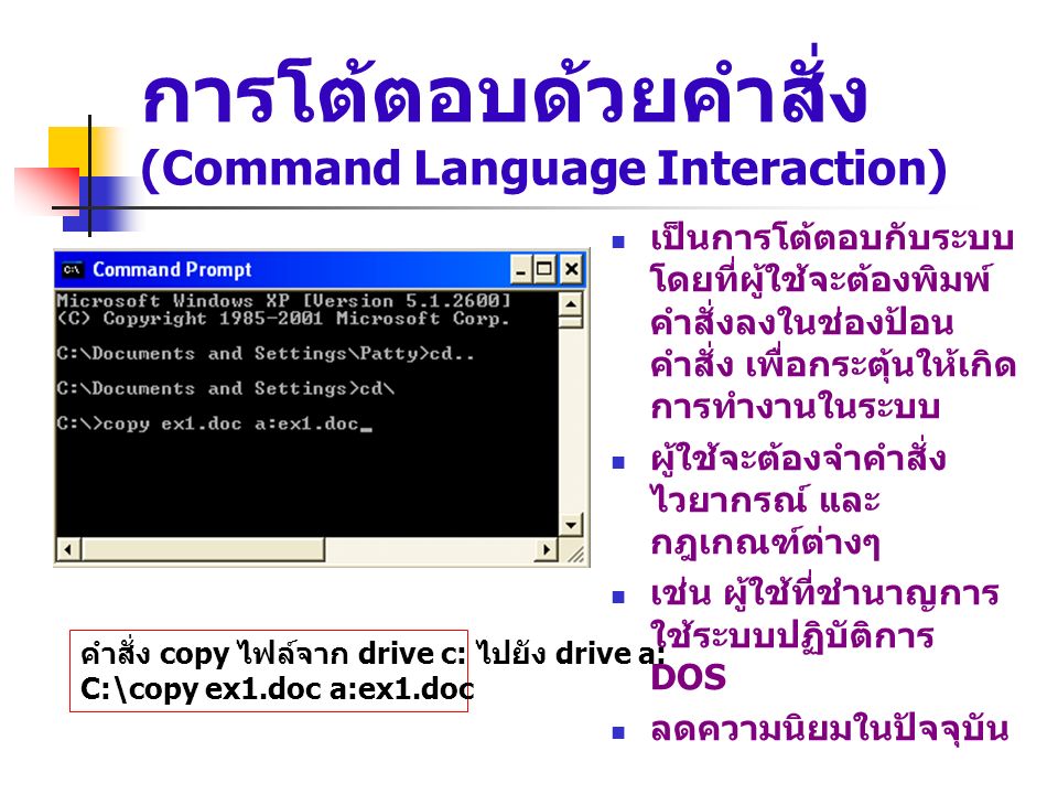 การโต้ตอบด้วยคำสั่ง (Command Language Interaction)