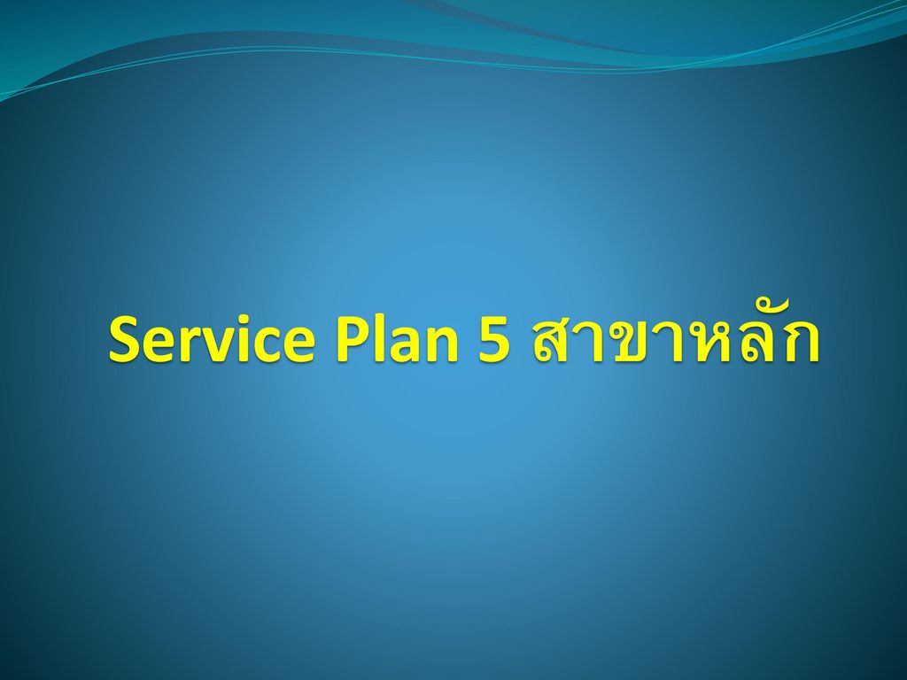 Service Plan 5 สาขาหลัก