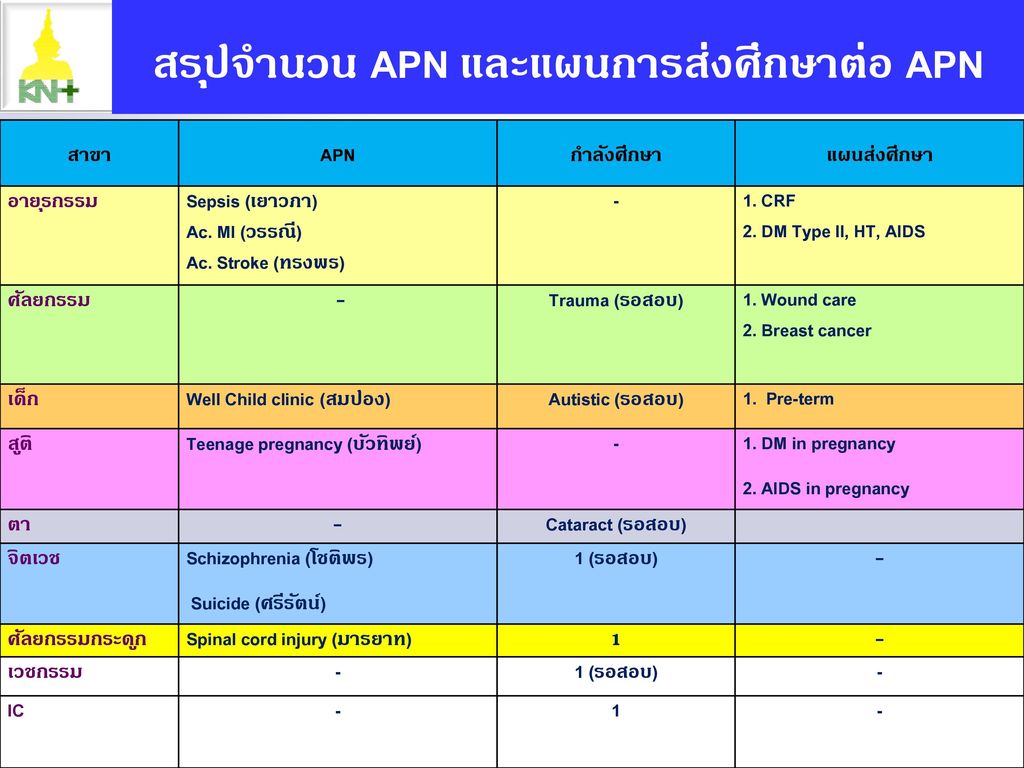 สรุปจำนวน APN และแผนการส่งศึกษาต่อ APN