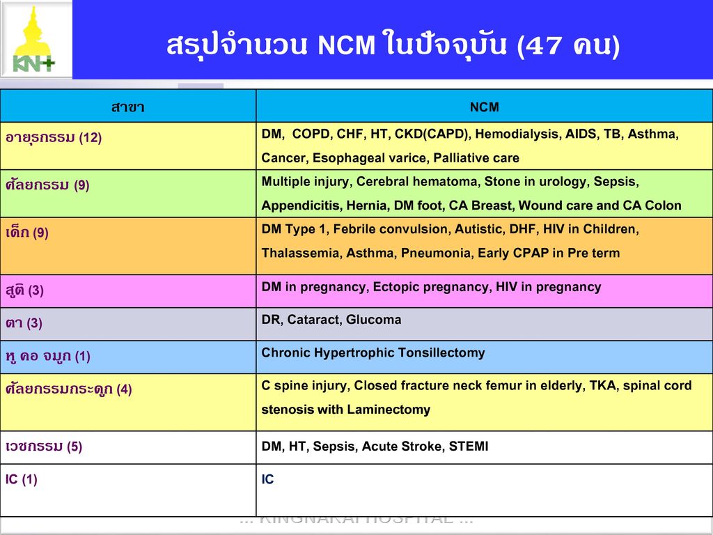 สรุปจำนวน NCM ในปัจจุบัน (47 คน)