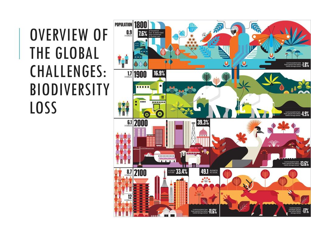 Overview of the global challenges: Biodiversity loss