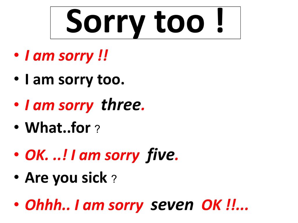 Sorry too ! I am sorry !! I am sorry too. I am sorry three.