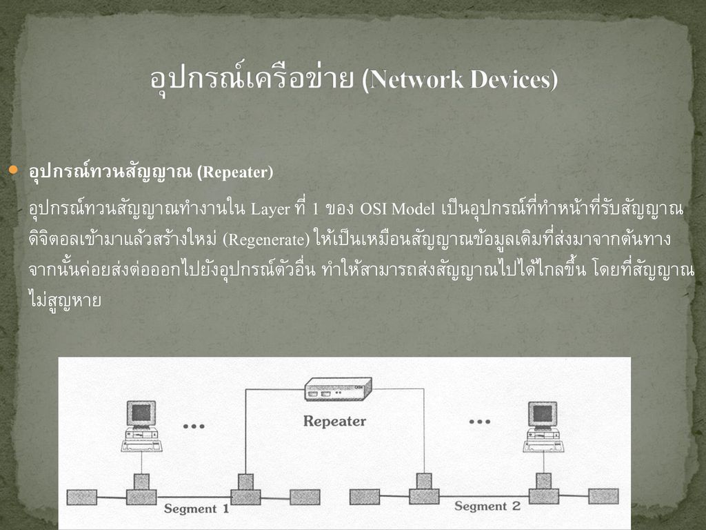 อุปกรณ์เครือข่าย (Network Devices)